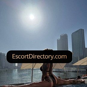 Escort in Istanbul, Alina VIP escort provides blowjob without condom