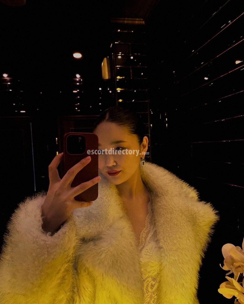 Indira, escort in Dubai