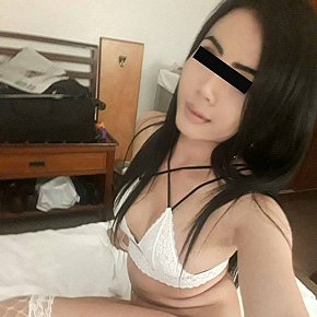 LadyBoySasha Super Booty
 escort in Bangkok offers French Kissing services