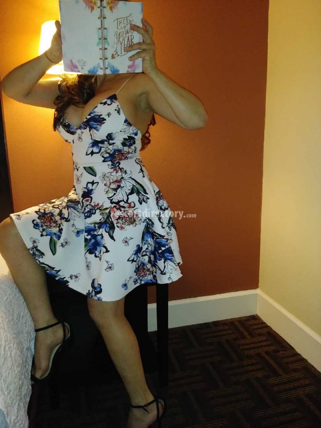 Fairfield County Escorts