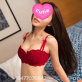 Angie Modelo/Ex-modelo escort in Toronto offers sexo oral com preservativo services