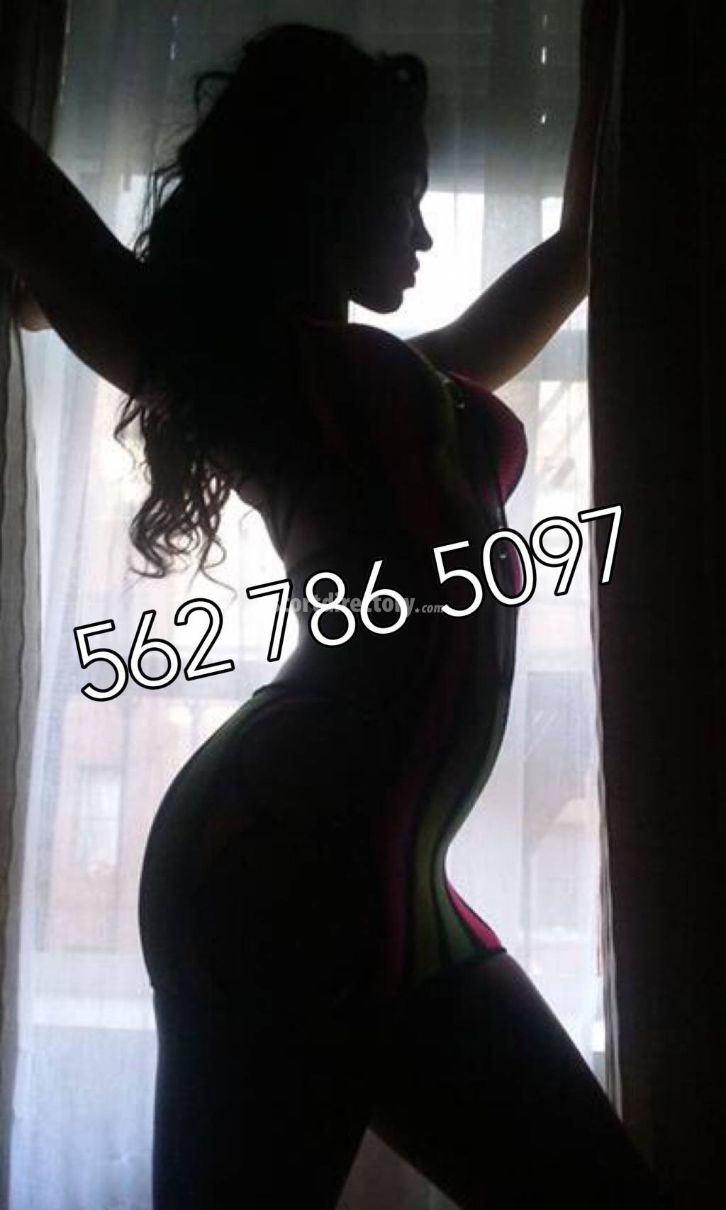 Escort trans in New Haven CT, HUNG SHEMALE CRISTINA.