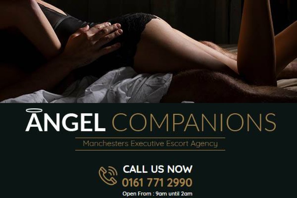 Angel-Companions