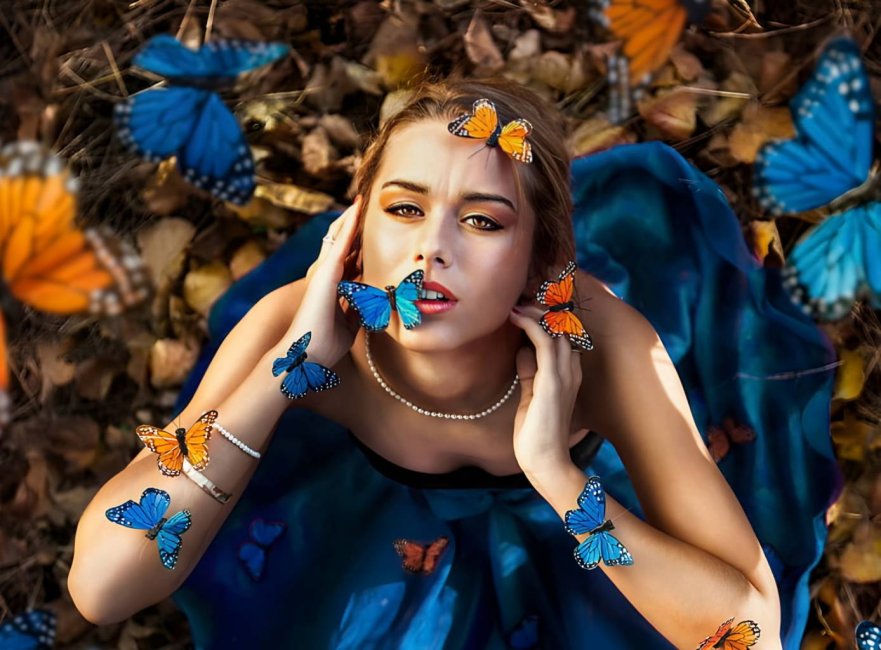 Butterfly-Models