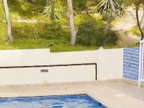 Michell Deportista escort in  offers Mamada sin condón hasta terminar
 services