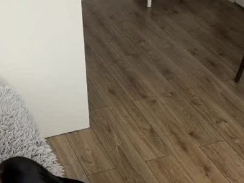 QueenAshley Completamente Natural escort in Wien offers Ejaculação na boca services